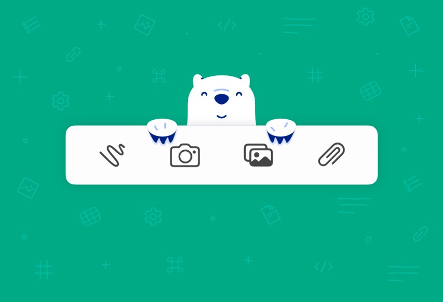 Bear Beyond Text: Working with Images, PDFs, and more